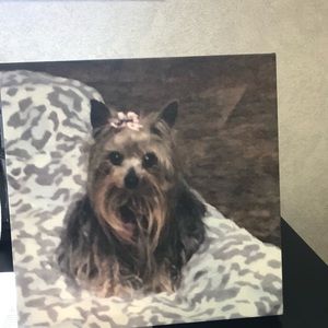 Meet your Posher, Treena